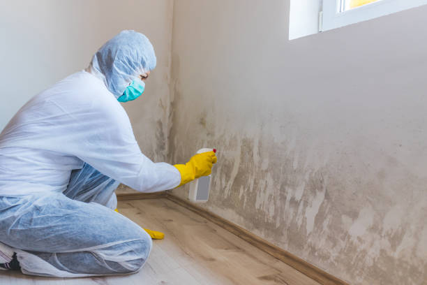 Licensed Crawl Space Mold Removal service in Cold Spring Harbor, NY - WQB Mold Removal
