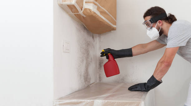 Professional Crawl Space Mold Removal technician working in Cold Spring Harbor, NY
