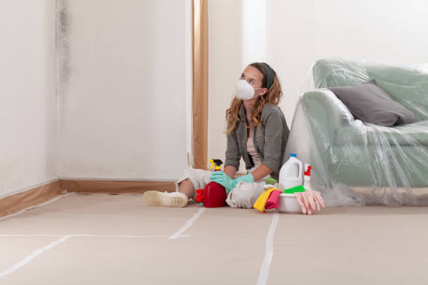 Reliable Crawl Space Mold Removal contractor in Cold Spring Harbor, NY by WQB Mold Removal